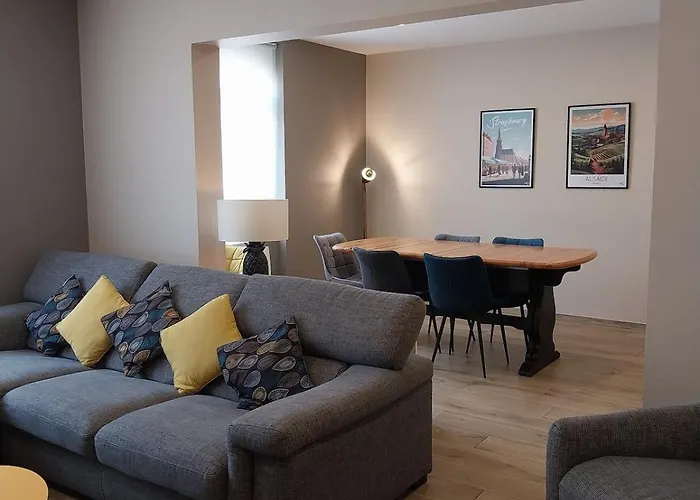 Superbe Appartement A Strasbourg